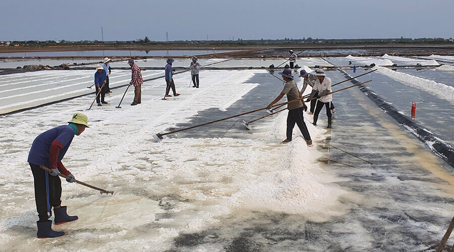 Bac Lieu salt fields
