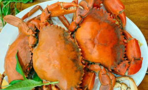 Ca Mau crab