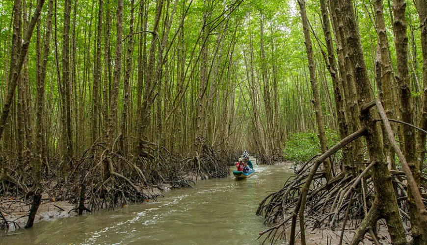 visit Forestry and Fishery Field 184