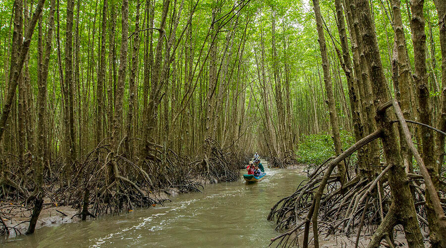visit Forestry and Fishery Field 184