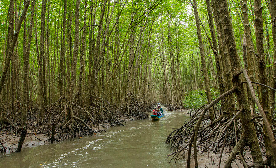visit Forestry and Fishery Field 184