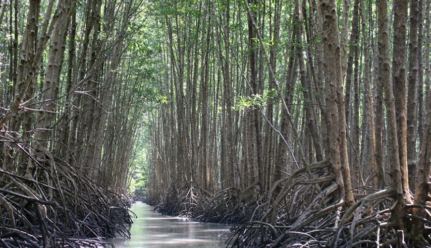 Forestry and Fishery Field 184