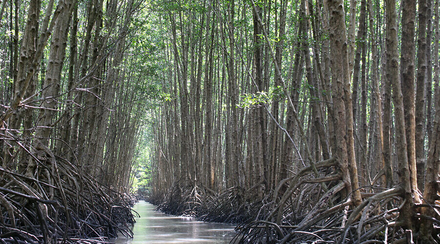 Forestry and Fishery Field 184