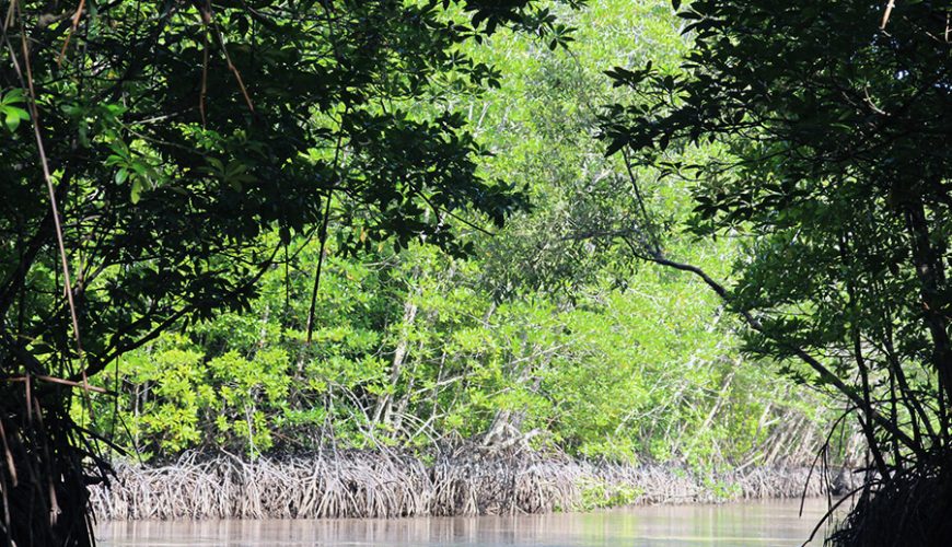 Forestry and Fishery Field 184