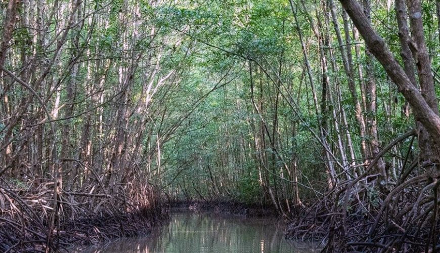 Forestry and Fishery Field 184