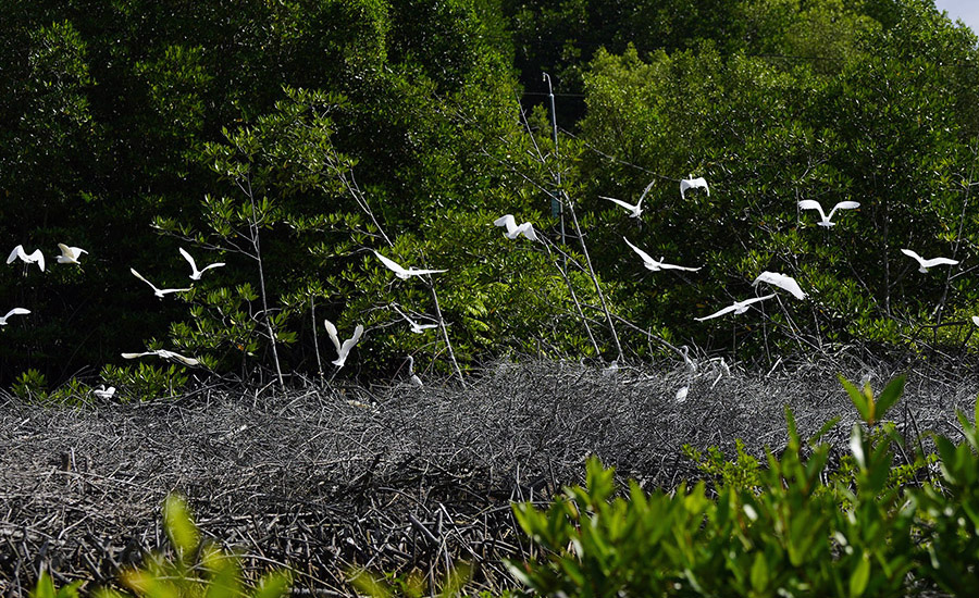 Forestry and Fishery Field 184