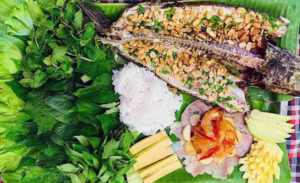 Grilled snakehead fish