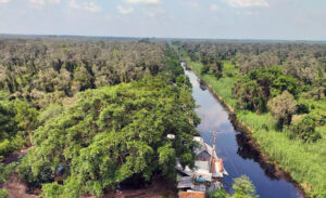 Ca Mau Cape World Biosphere Reserve