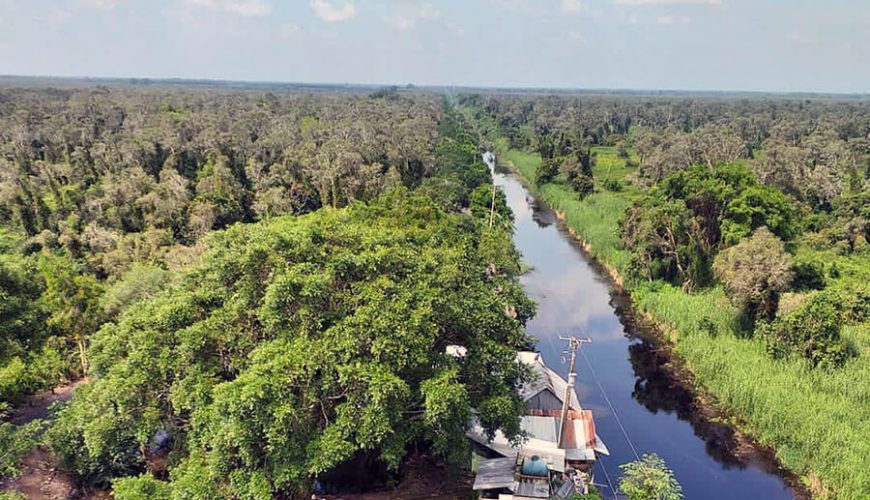 Ca Mau Cape World Biosphere Reserve