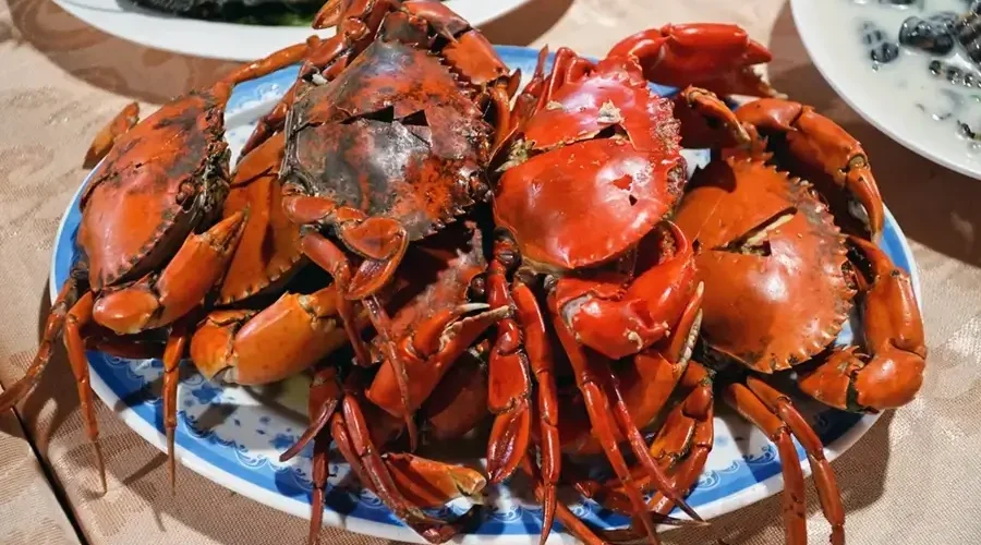 ca mau crab
