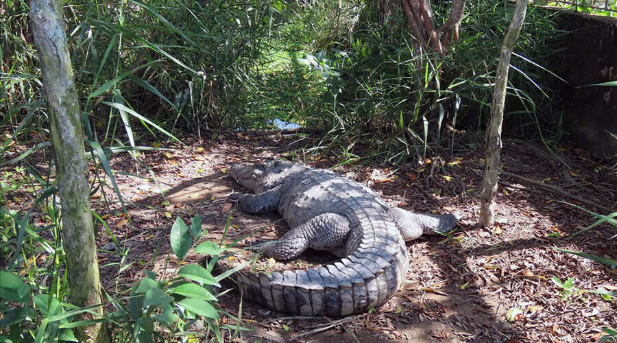 Trem River Eco-Tourism Area