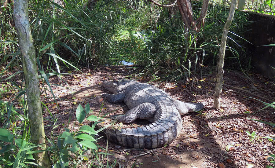 Trem River Eco-Tourism Area