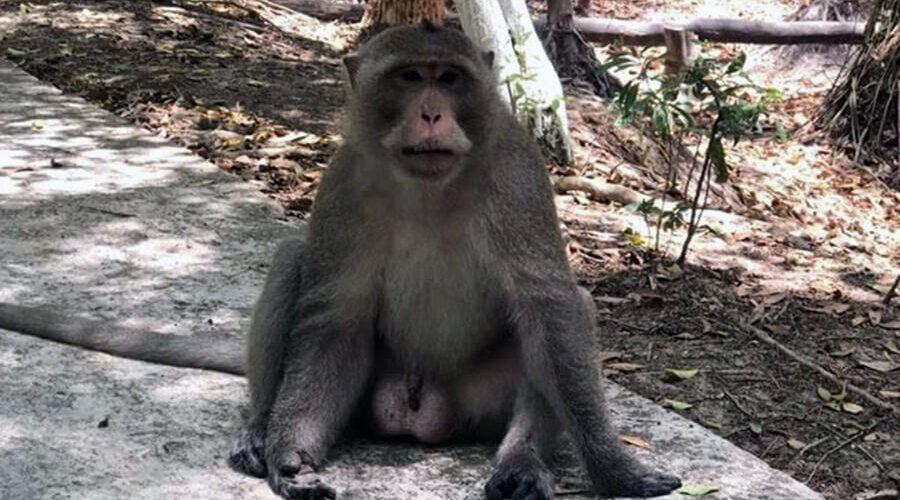 Trem River Eco-Tourism Area