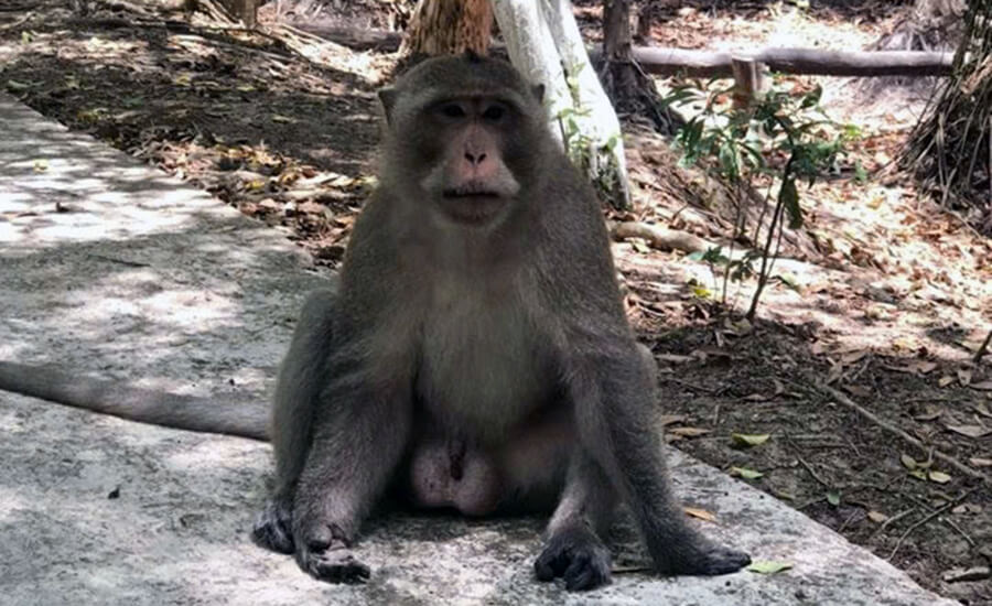 Trem River Eco-Tourism Area