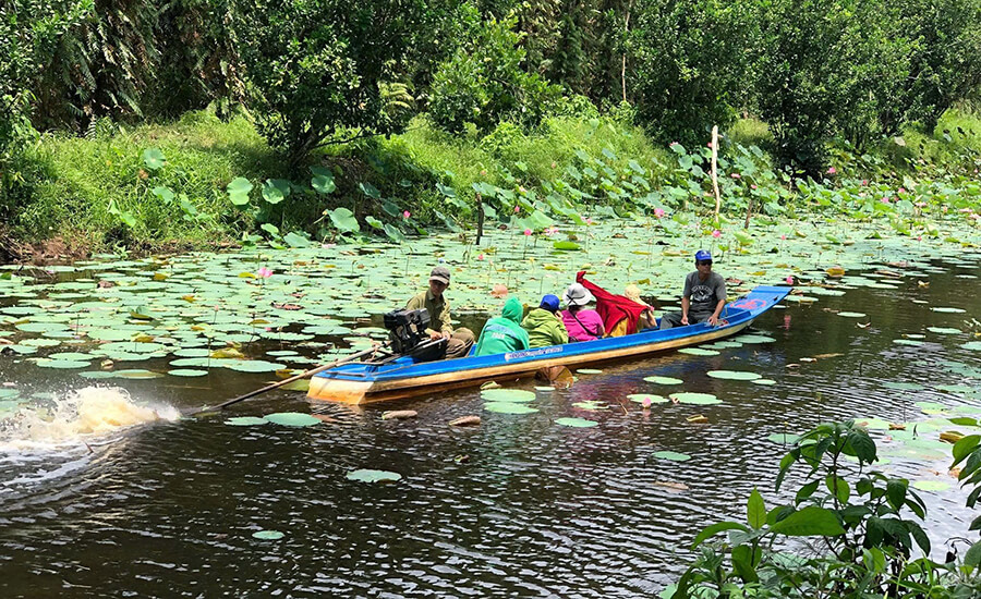 Trem River Eco-Tourism Area