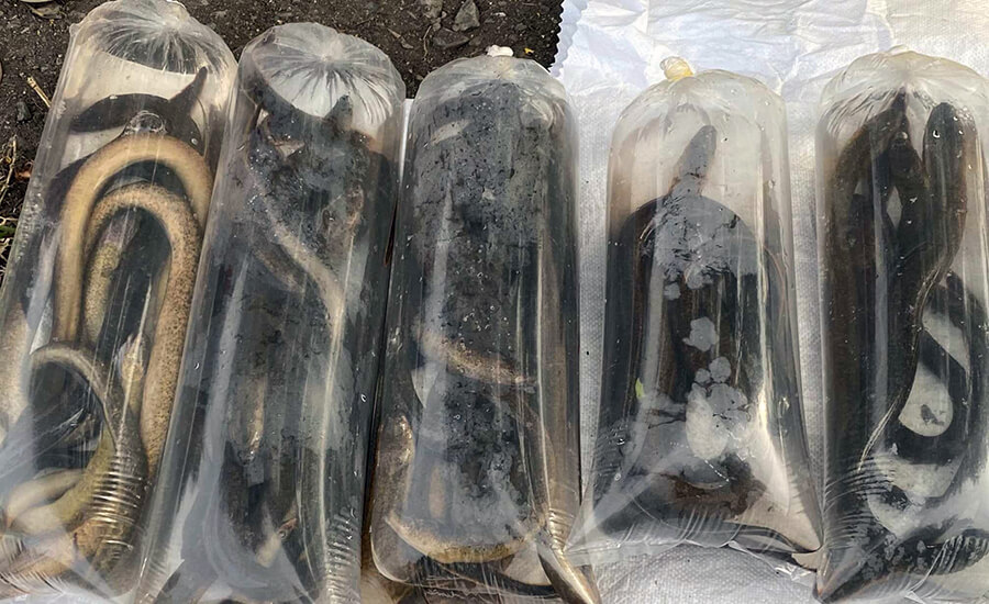 Ganh Hao coastal town