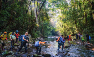 Bidoup - Nui Ba National Park