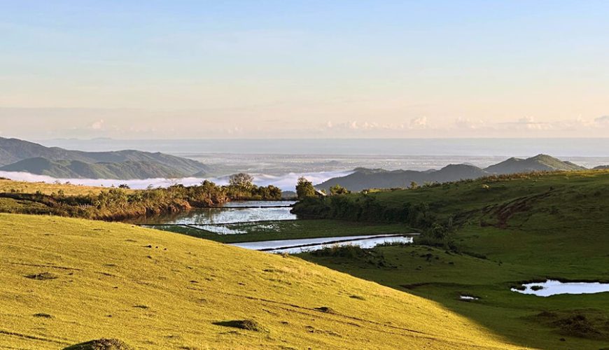 Bui Hui Grassland