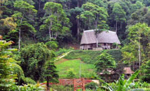 Chu Mom Ray National Park