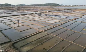 Sa Huynh Salt Fields