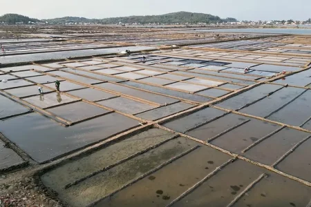 Sa Huynh Salt Fields