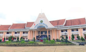 Traditional musical instrument exhibition