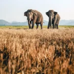 explore Dak Lak