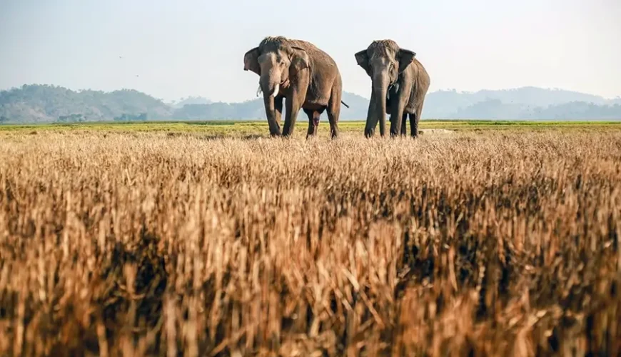 explore Dak Lak