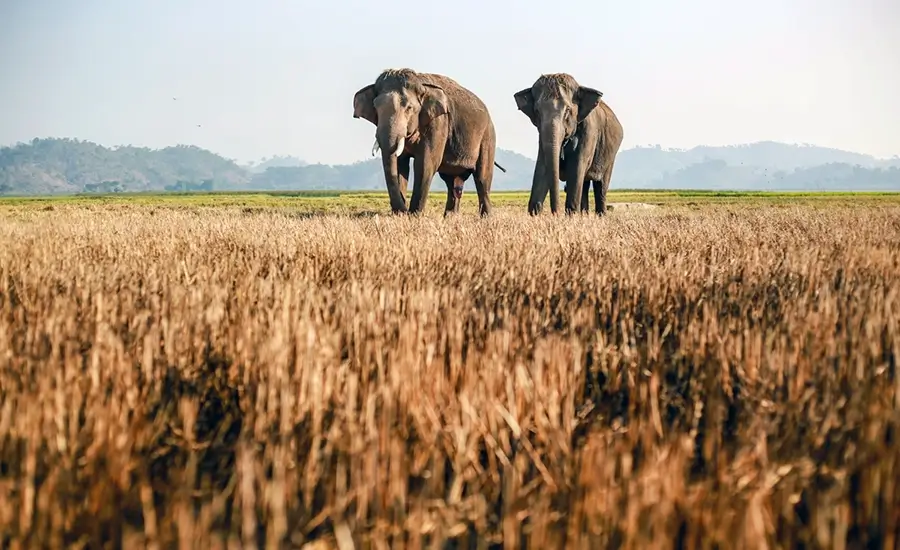 explore Dak Lak
