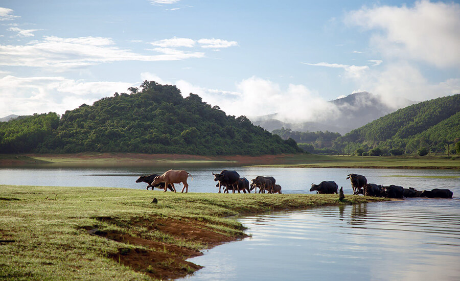 Ben En National park