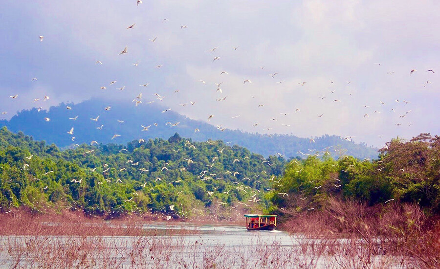 explore Ha Tinh