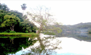 Ao Chau Pond