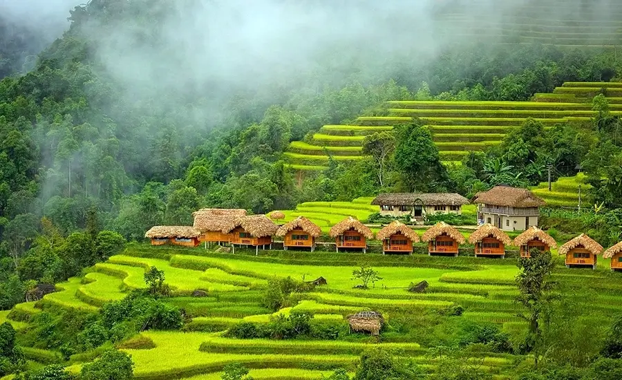 Hoang Su Phi resort