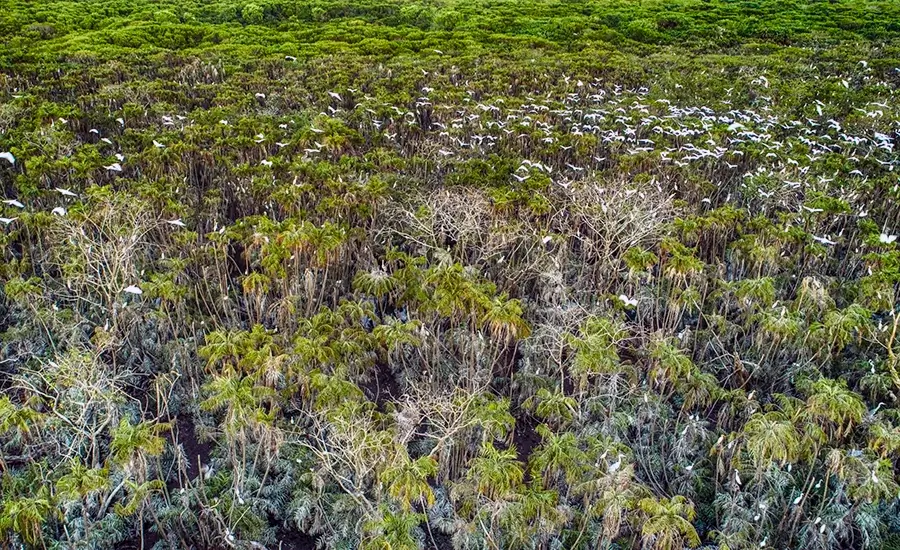 Lam Vien 19/5 Bird Sanctuary