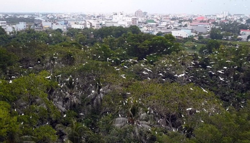 Lam Vien 19/5 Bird Sanctuary