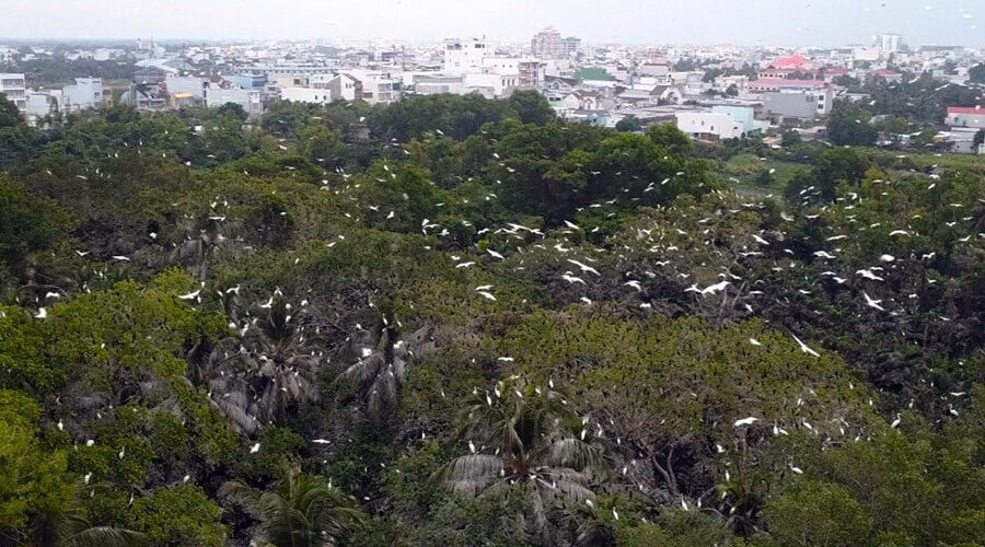 Lam Vien 19/5 Bird Sanctuary