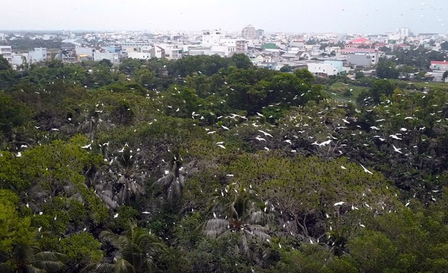 Lam Vien 19/5 Bird Sanctuary