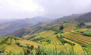 Mu Cang Chai