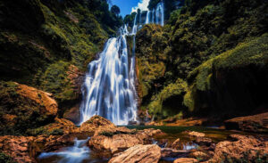 Na Hang Primitive Forest