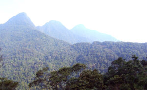 Tam Dao national park