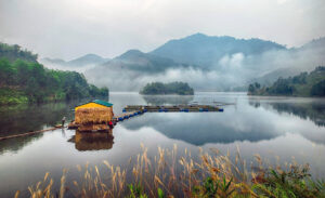 Xuan Son National Park