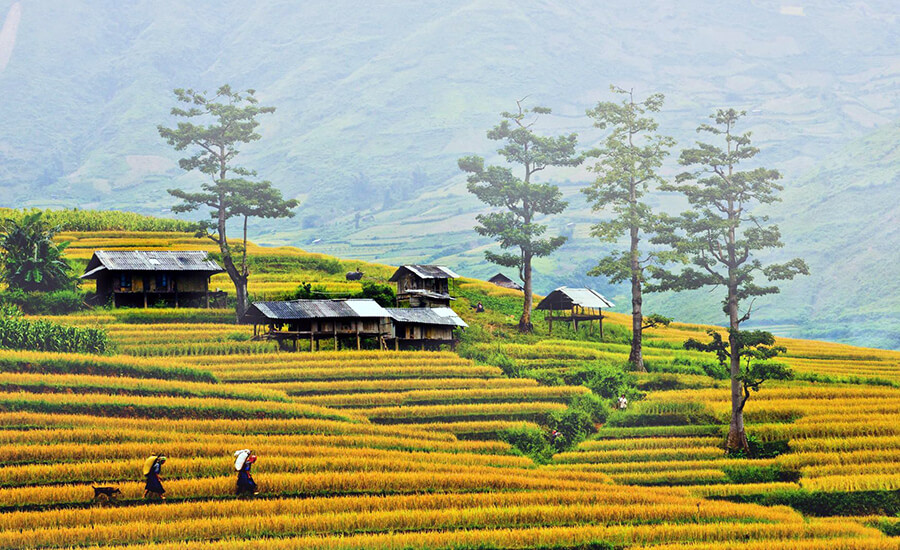 best time to explore Dien Bien