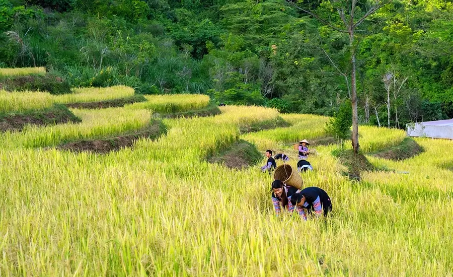 best time to visit Phu Tho