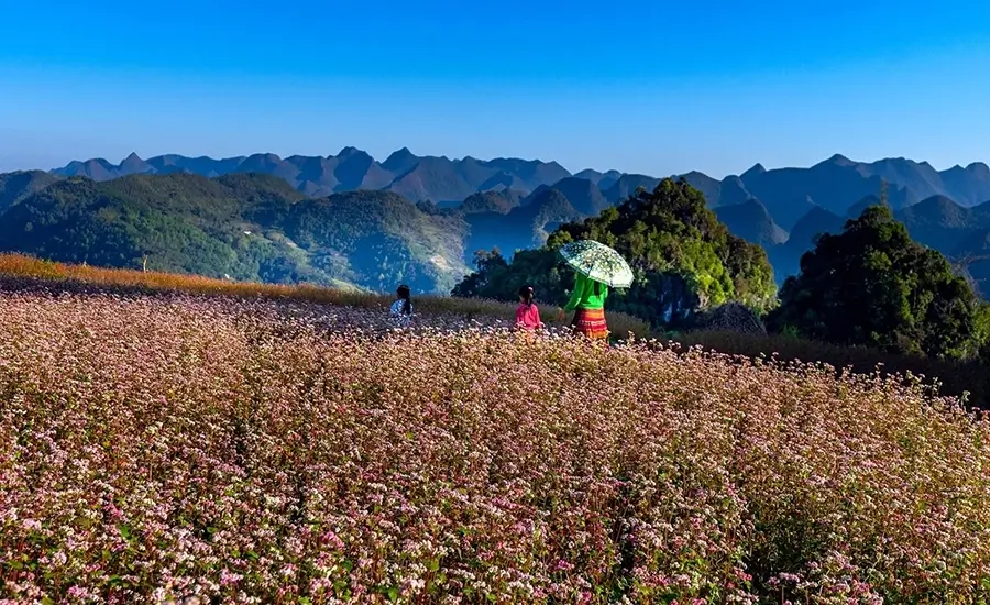 best time to explore Tuyen Quang