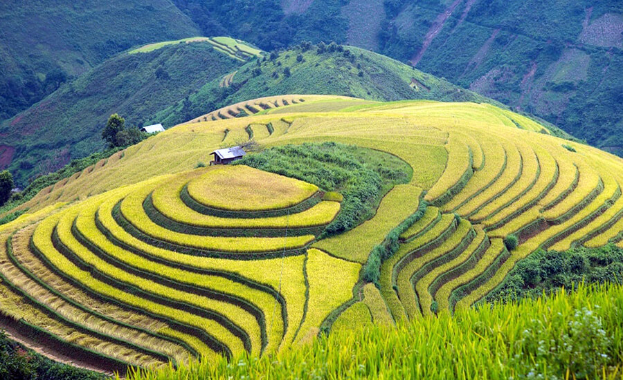 what's the best time to visit Son La