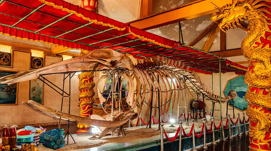 Nam Hai temple in Da Bac