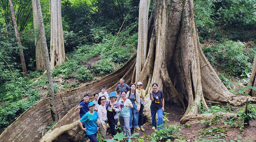 Bu Gia Map National Park