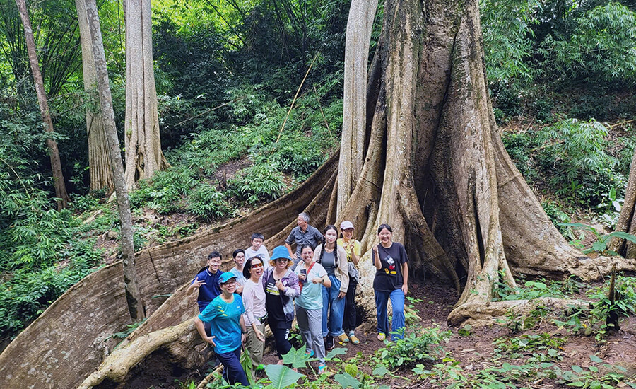 Bu Gia Map National Park