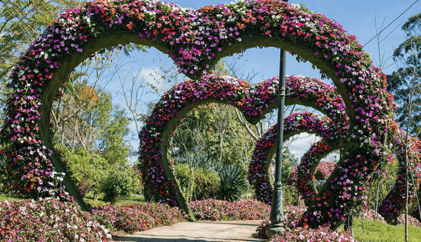 Da Lat Flower Garden