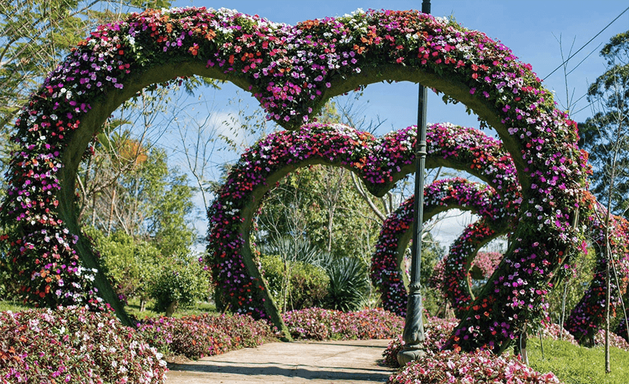 Da Lat Flower Garden